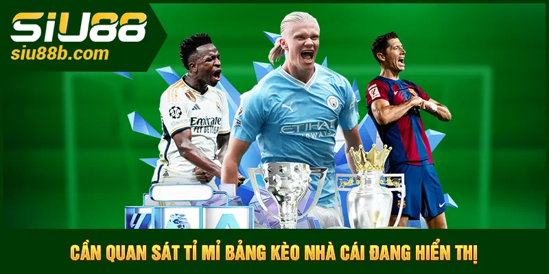 Cần quan sát tỉ mỉ bảng kèo nhà cái đang hiển thị