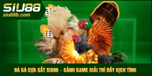 Đá gà cựa sắt