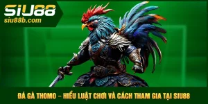 Đá gà Thomo
