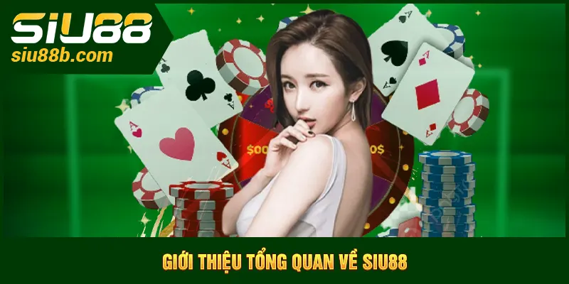 Giới thiệu tổng quan về Siu88