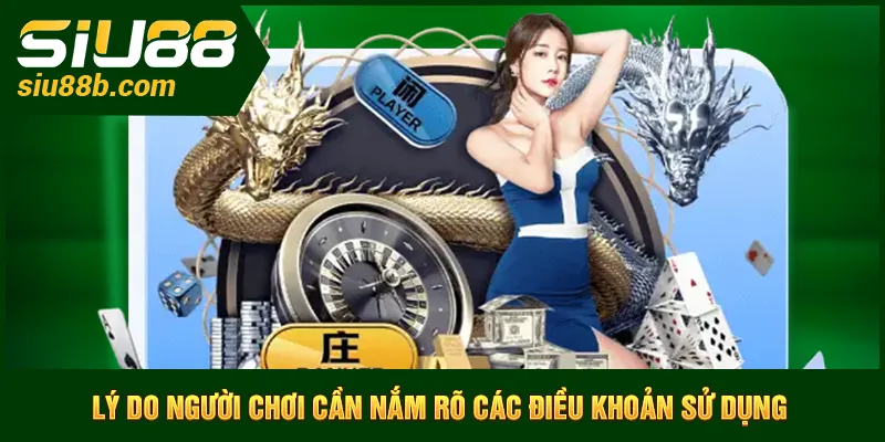 Lý do người chơi cần nắm rõ các điều khoản sử dụng