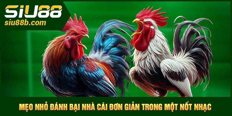 Mẹo nhỏ đánh bại nhà cái đơn giản trong một nốt nhạc
