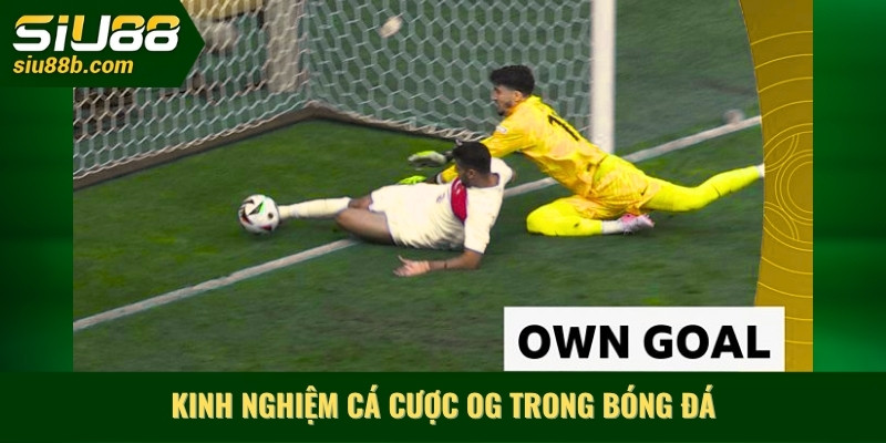 Kinh nghiệm cá cược OG trong bóng đá