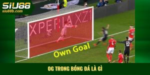 OG trong bóng đá là gì