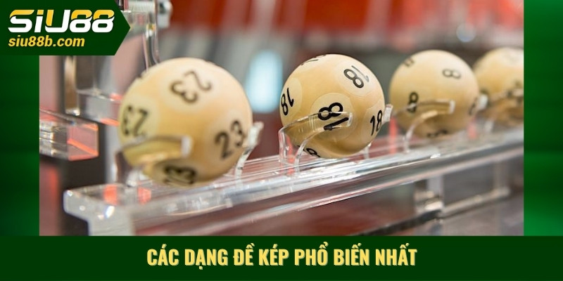 Các dạng đề kép là gì phổ biến nhất