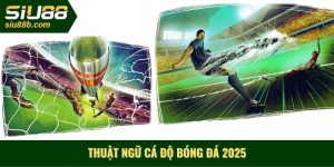 thuật ngữ cá độ bóng đá