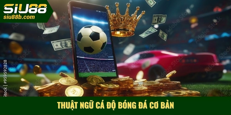 Thuật ngữ cá độ bóng đá cơ bản