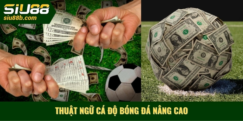 Thuật ngữ cá độ bóng đá nâng cao
