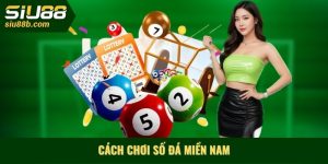 Cách chơi số đá miền Nam